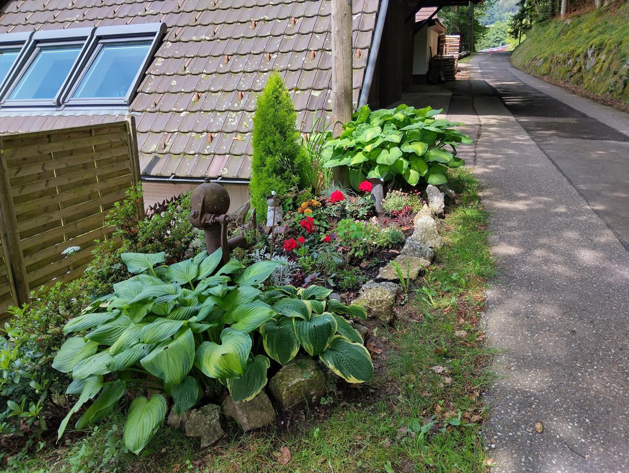 Haus "Guck - Ins - Tal" Daire Sasbachwalden Dış mekan fotoğraf
