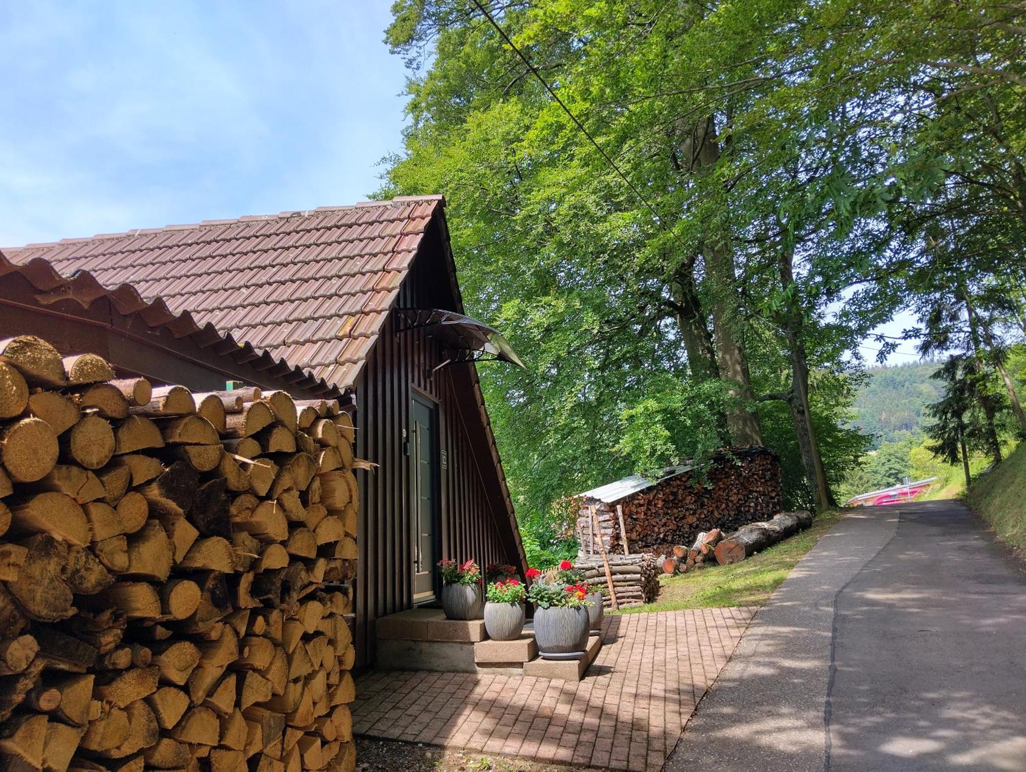 Haus "Guck - Ins - Tal" Daire Sasbachwalden Dış mekan fotoğraf