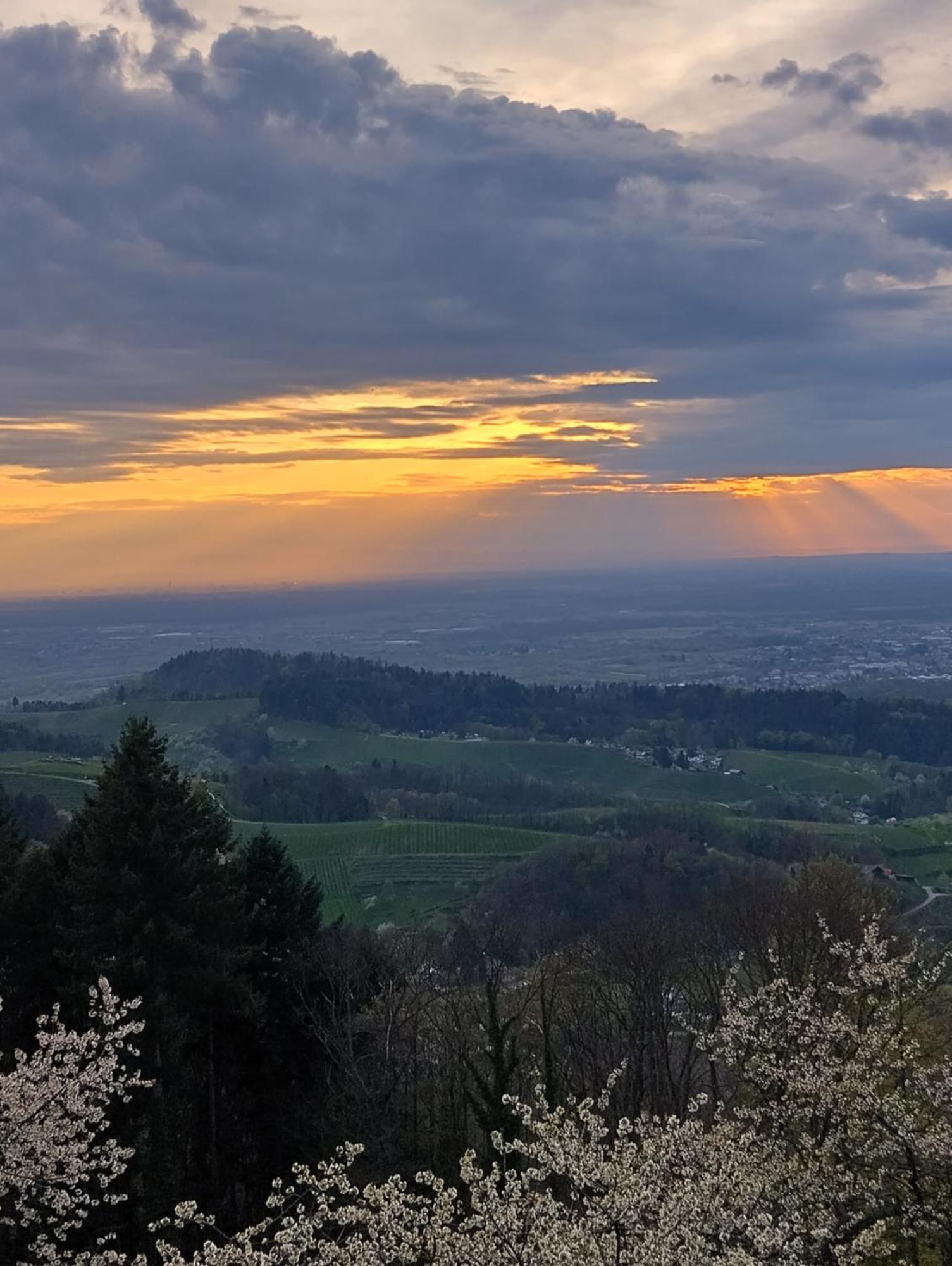Haus "Guck - Ins - Tal" Daire Sasbachwalden Dış mekan fotoğraf